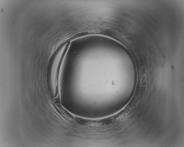 X0000057100299200509231723