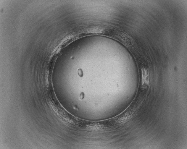 X0000057100300200509231723