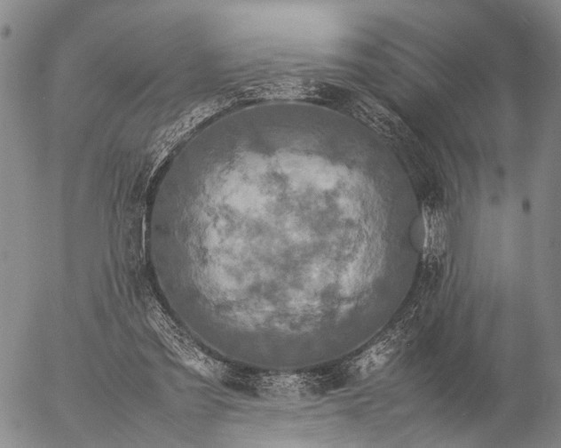 X0000057100301200509231723