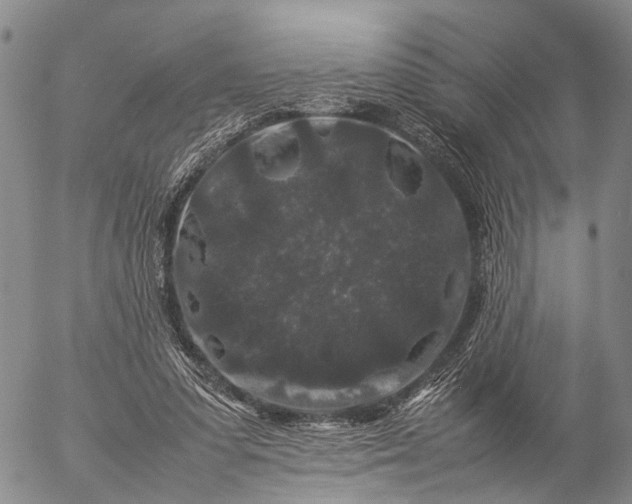 X0000057100303200509231723