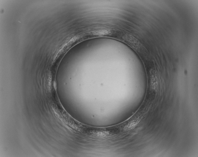 X0000057100304200509231723