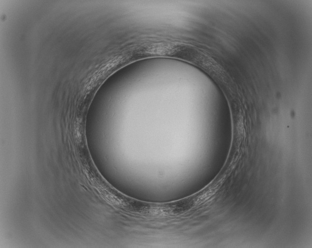 X0000057100305200509231723