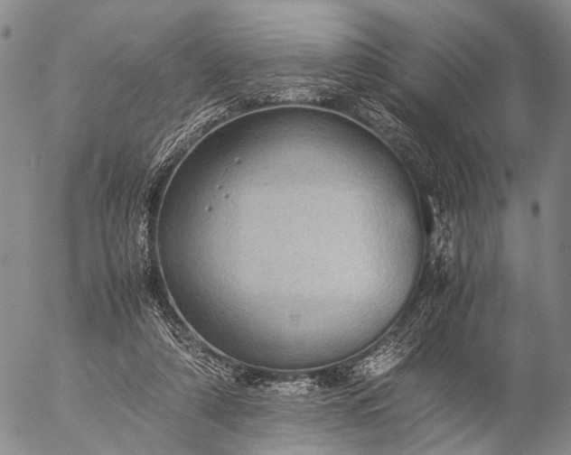 X0000057100306200509231723