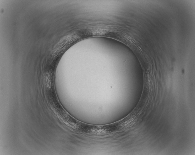 X0000057100311200509231723