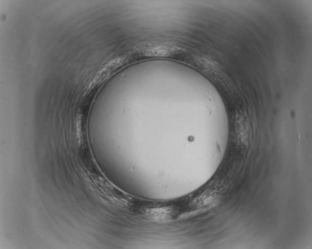 X0000057100312200509231723