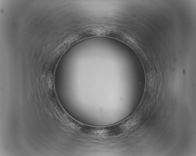 X0000057100313200509231723