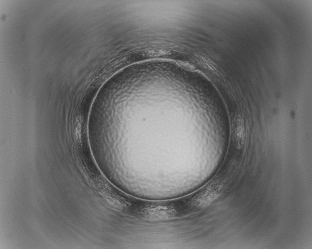 X0000057100315200509231723