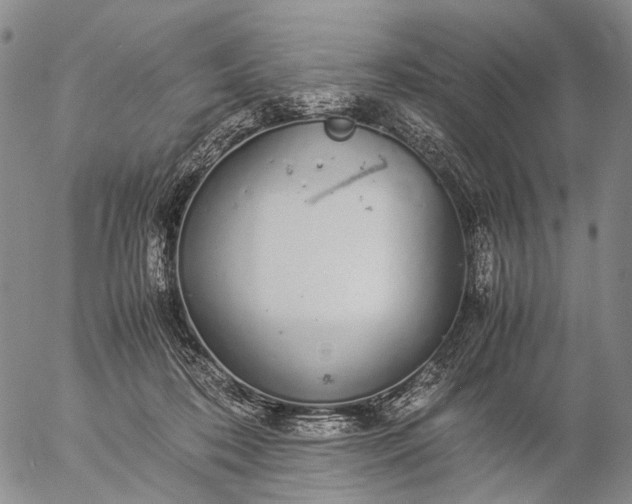 X0000057100316200509231723