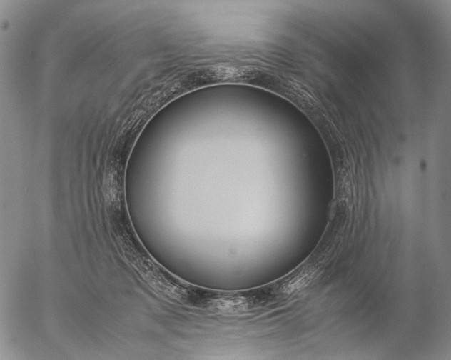 X0000057100317200509231722