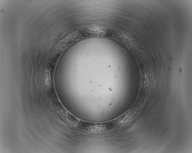 X0000057100320200509231722