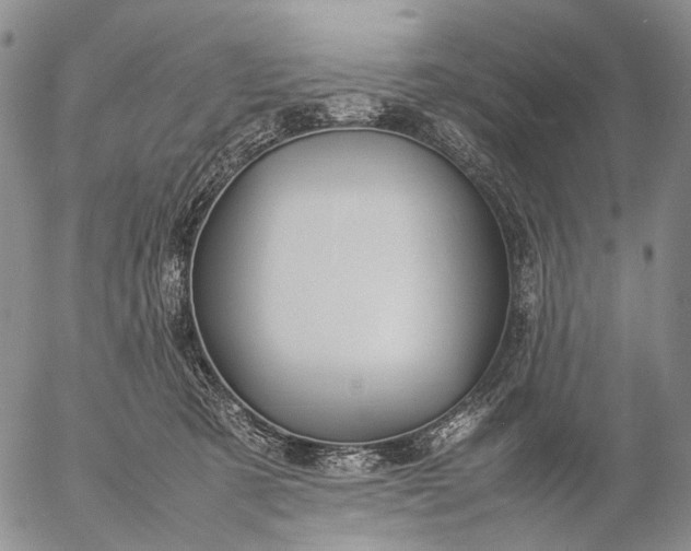 X0000057100321200509231722