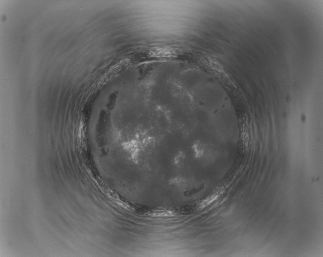 X0000057100322200509231722