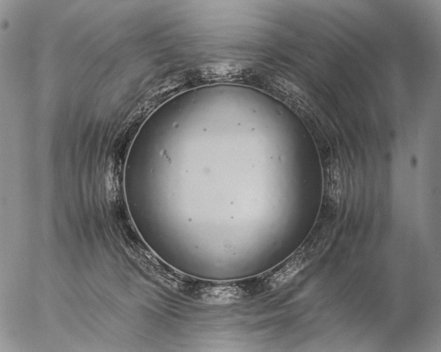 X0000057100324200509231722