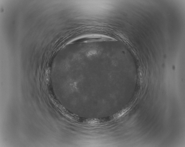 X0000057100325200509231722