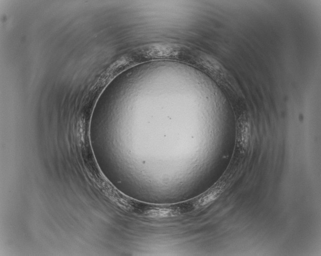 X0000057100326200509231722