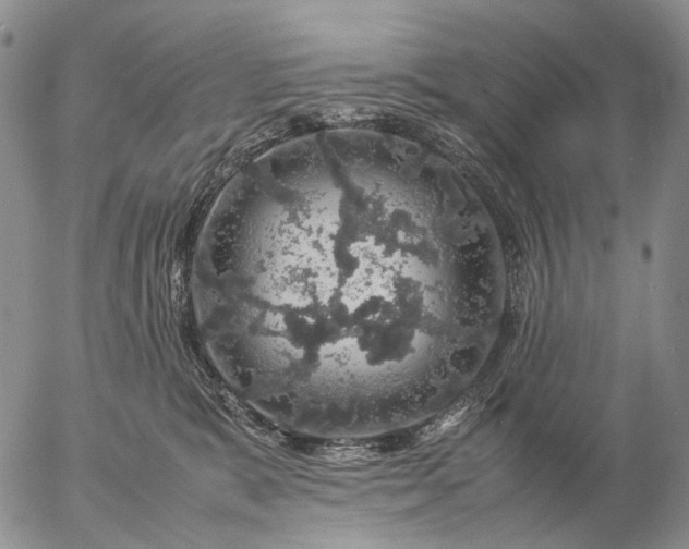 X0000057100327200509231722