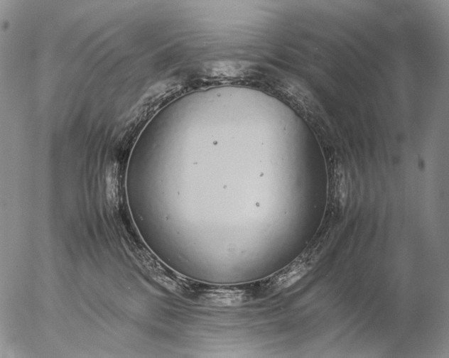 X0000057100328200509231722