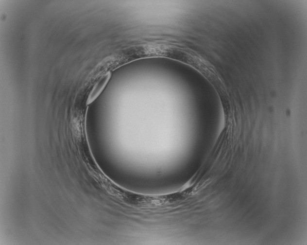 X0000057100329200509231722