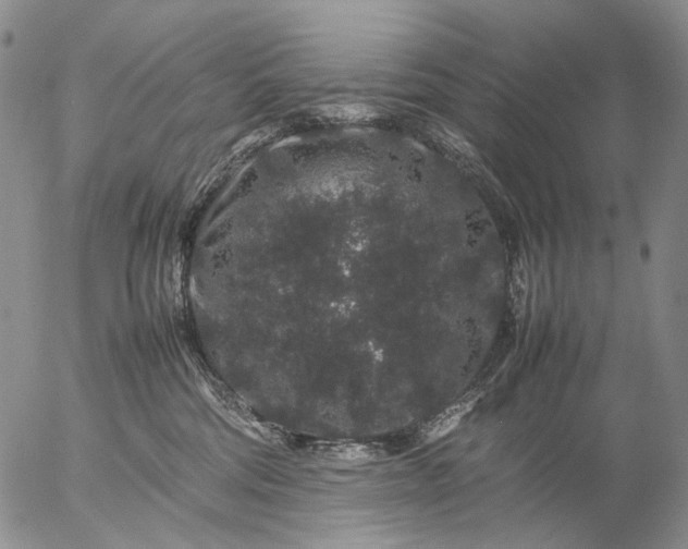 X0000057100330200509231722