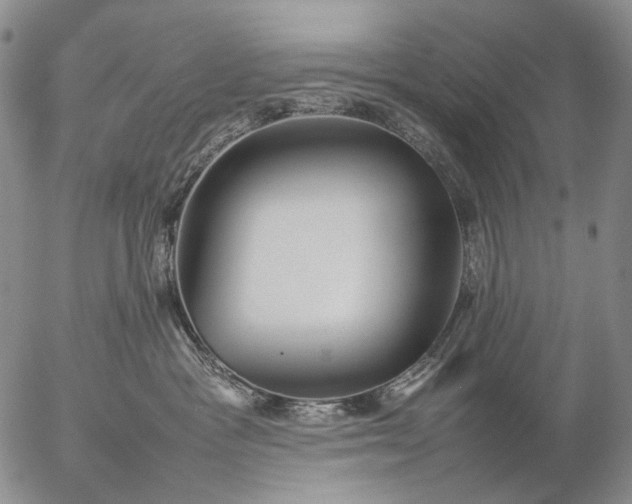 X0000057100333200509231722