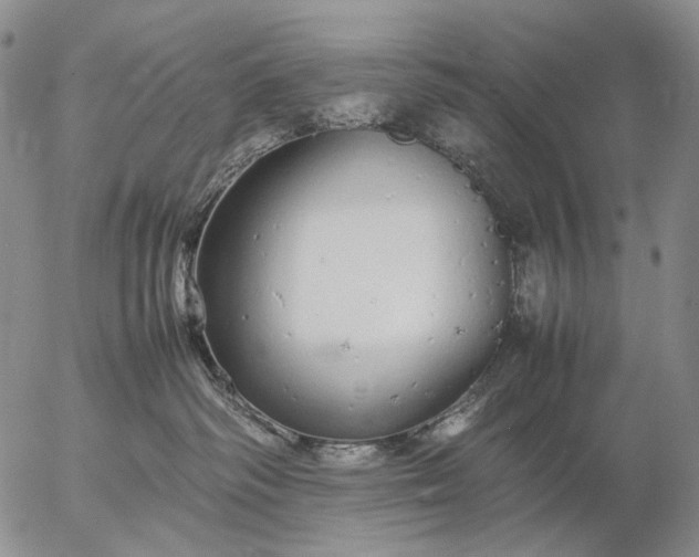 X0000057100334200509231722