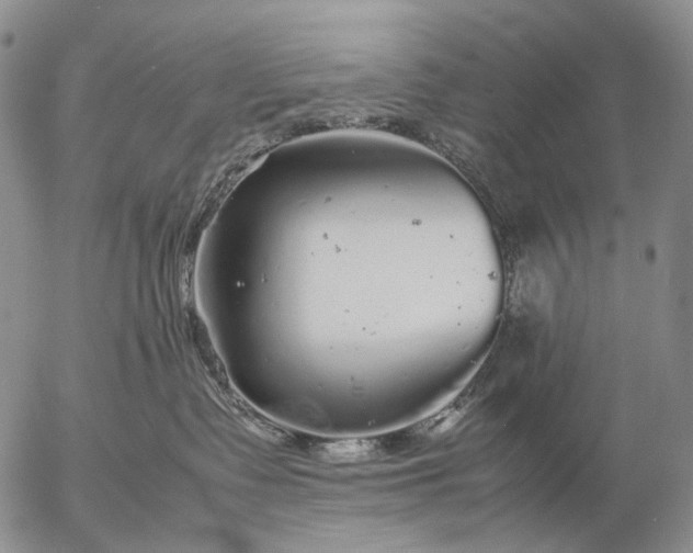 X0000057100335200509231722