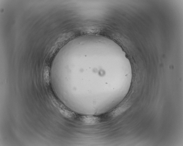 X0000057100336200509231722