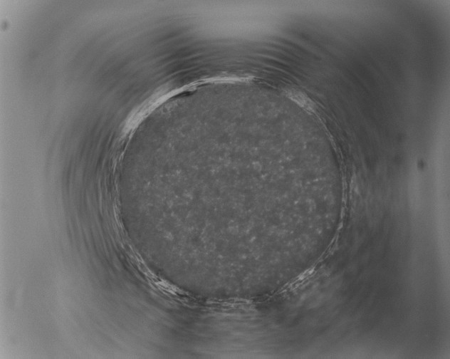 X0000057100337200509231721