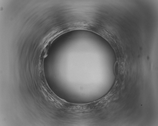 X0000057100338200509231721