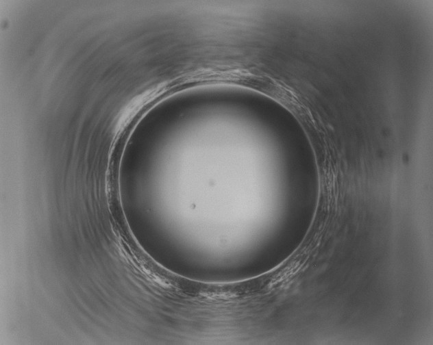 X0000057100340200509231721