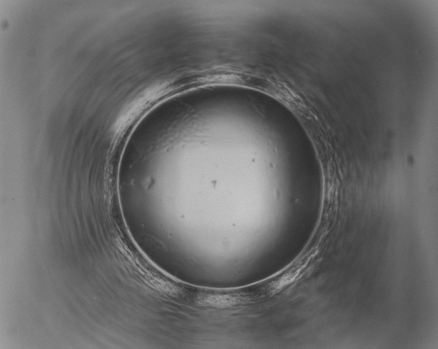 X0000057100341200509231721