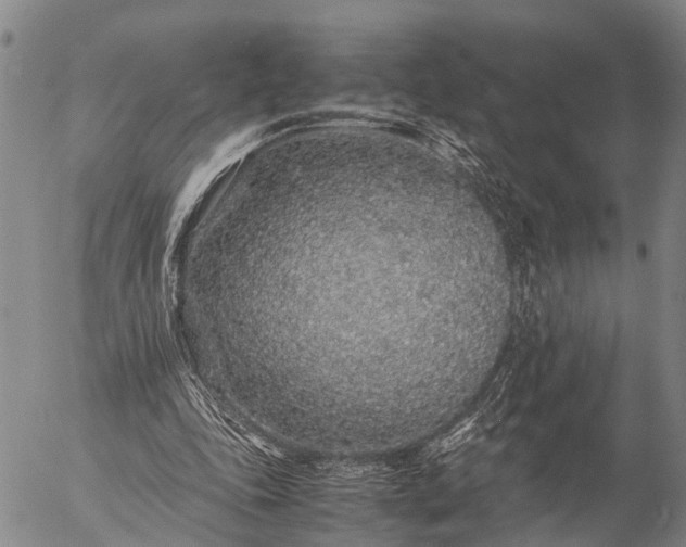 X0000057100343200509231721