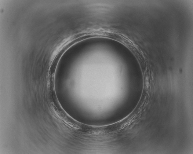 X0000057100344200509231721