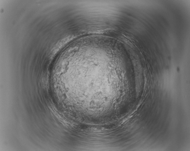 X0000057100346200509231722