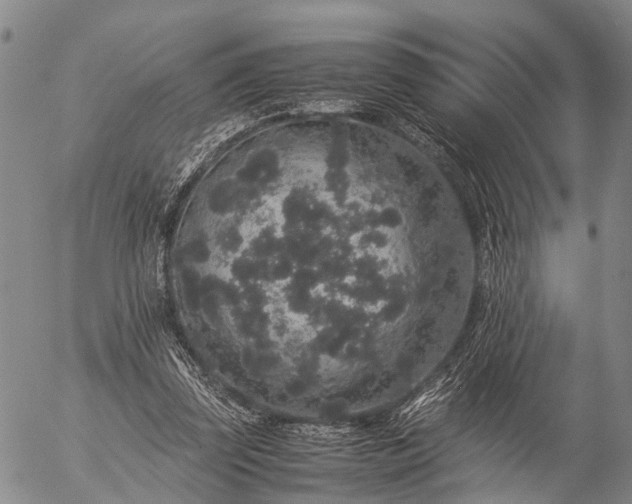 X0000057100347200509231722