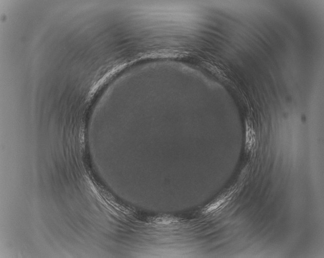 X0000057100348200509231722