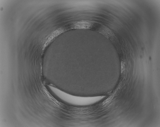 X0000057100349200509231722