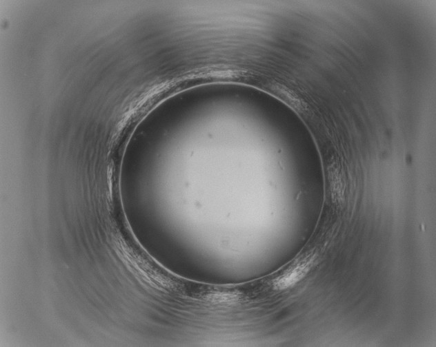 X0000057100350200509231722