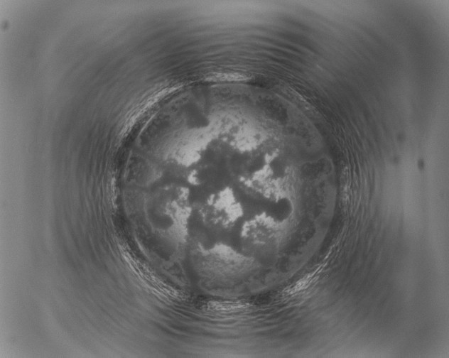 X0000057100351200509231722