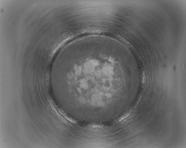 X0000057100352200509231722