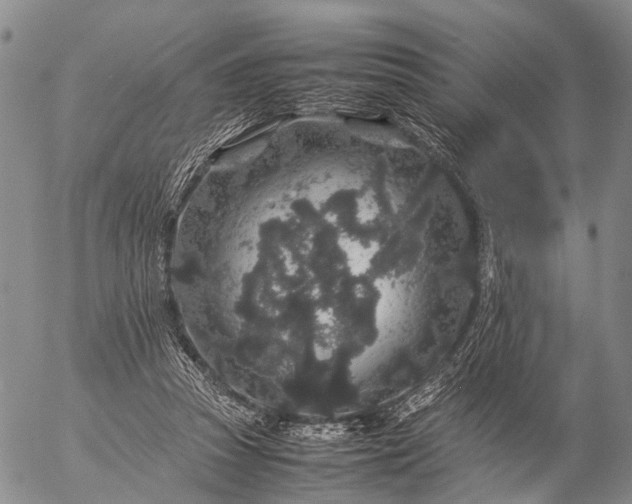 X0000057100353200509231722