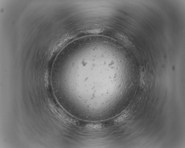 X0000057100354200509231722