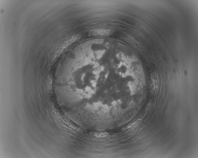 X0000057100355200509231722