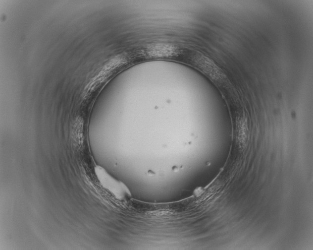 X0000057100356200509231722