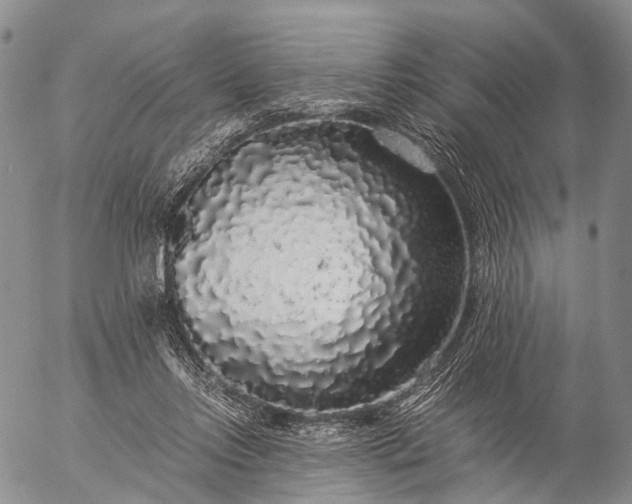 X0000057100358200509231722