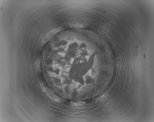 X0000057100359200509231722