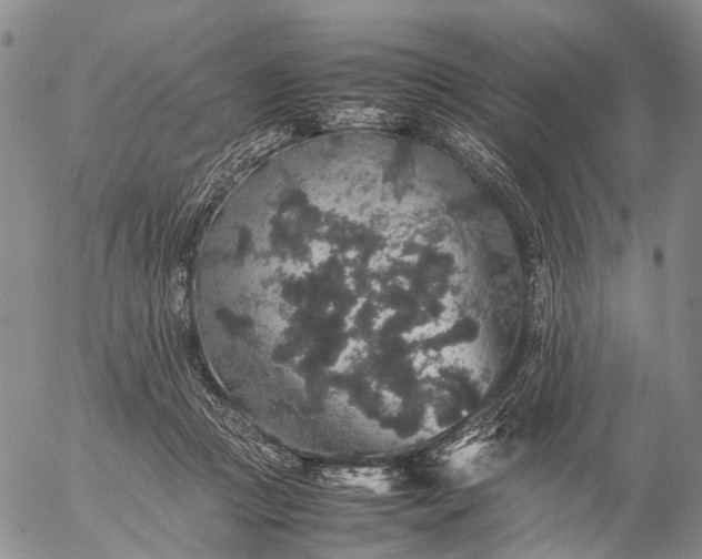 X0000057100361200509231722