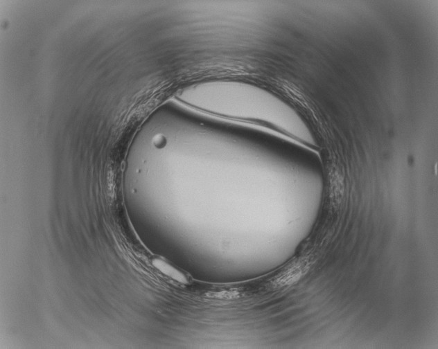 X0000057100362200509231722