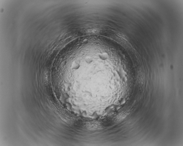 X0000057100363200509231722