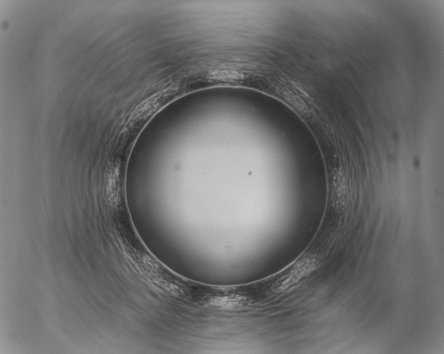 X0000057100364200509231722